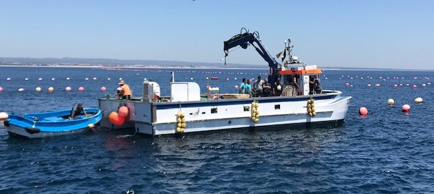  Ministro do Mar visitou as Armações de Atum no Algarve 
