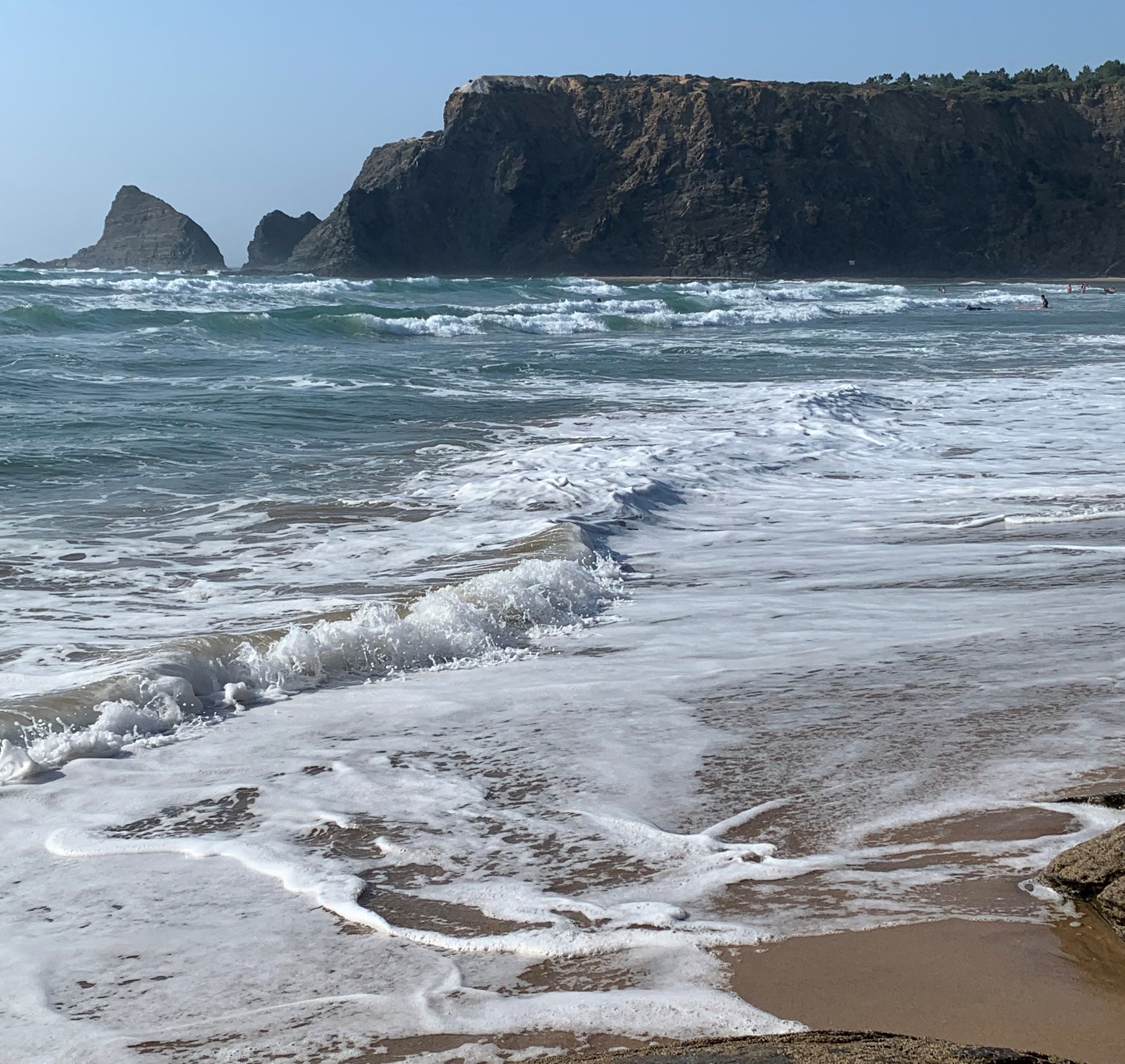  Dia mundial dos oceanos 